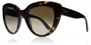 Dolce & Gabbana DG4287 Sunglasses Dark Tortoise 502-13 53mm
