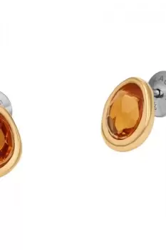 Ladies Skagen Jewellery SEA GLASS Earrings SKJ1739710