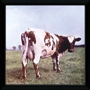 Pink Floyd Atom Heart 12" x 12" Framed Album Cover