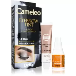 Delia Cosmetics Cameleo Professional Cream Eyebrow Colourant Ammonia - Free Shade 1.0 Black 15 ml