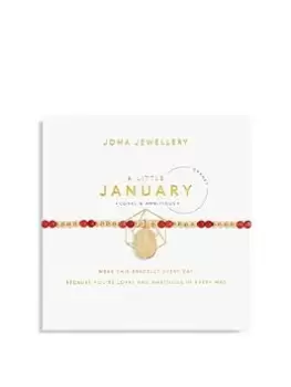 Joma Jewellery A Little January Birthstone Bracelet
