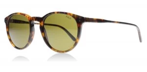 Polo PH4110 Sunglasses Tortoise 501773 50mm
