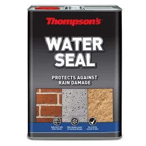 Thompsons Clear Water Seal 1L