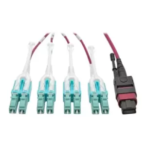 Tripp Lite N845-02M-8L-MG 40G MTP/MPO to 4xLC Fan-Out OM4 Plenum-Rated Fiber Optic Cable 40GBASE-SR4 Push/Pull Tabs Magenta 2 m