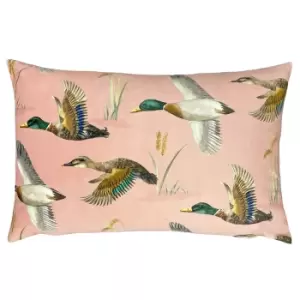 Country Duck Pond Rectangular Cushion Blush, Blush / 40 x 60cm / Polyester Filled