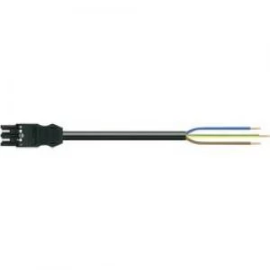 Mains cable Mains plug Cable open endedTotal number of pins 2 PEBlackWAGO2 m