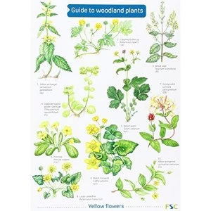 Guide to Woodland Plants 1998 Sheet map, folded