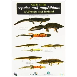 Guide to the Reptiles and Amphibians of Britain and Ireland 1999 Sheet map, folded