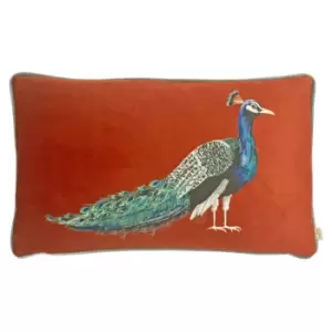 Evans Lichfield Peacock Cushion Cover (One Size) (Sunset)