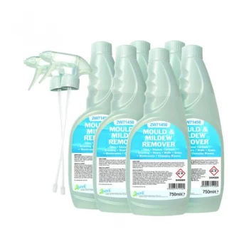 2Work Mould And Mildew Cleaner 750ml Pack of 6 252SVW