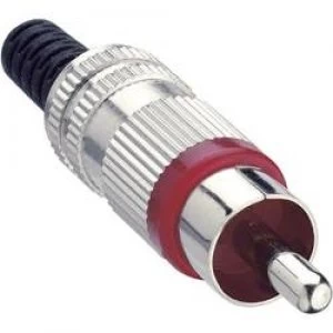 RCA connector Plug straight Number of pins 2 Red Lumberg STO 2