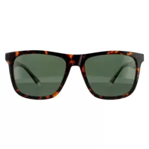 Square Havana Green Polarized Sunglasses