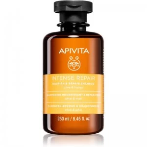 Apivita Holistic Hair Care Olive & Honey Intensive Nourishing Shampoo 250ml