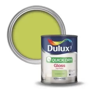 Dulux Quick Dry Luscious Lime Gloss Eggshell Low Sheen Paint 750ml