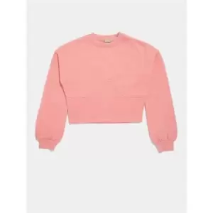 Skinny Dip Corset Sweatshirt - Pink