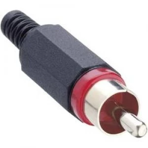 RCA connector Plug straight Number of pins 2 Red Lumberg XSTO 1