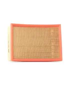 VALEO Air filter FORD 585016 1444N0,1129147,6180522 Engine air filter,Engine filter 91FF9601AA,91FF9601AB,G180522
