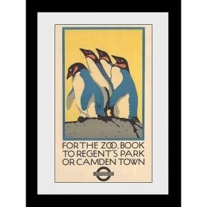 Transport For London Zoo 60 x 80 Framed Collector Print