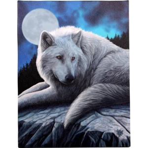 Small Guardian Of The North Canvas Picture by Lisa Parker