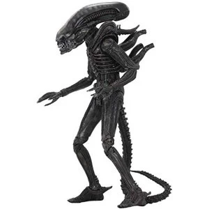 Ultimate Big Chap (Alien 40th Anniversary ) 7" Neca Scale Action Figure
