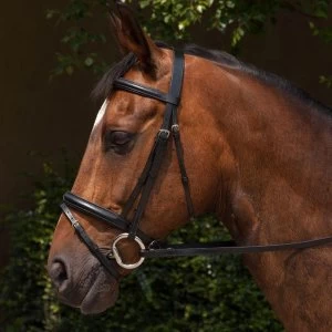 Requisite Padded Flash Bridle and Reins - Black
