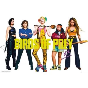 Birds of Prey Group Poster