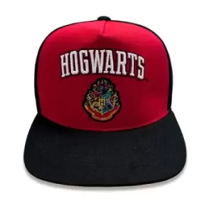 Harry Potter - College Hogwarts (Snapback Cap) One Size