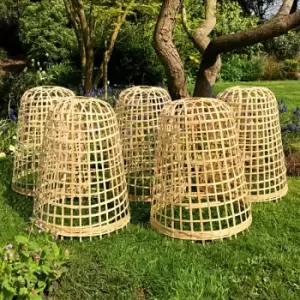 Gardenskill - Bamboo Bell Cloche - Small (pack of 5)