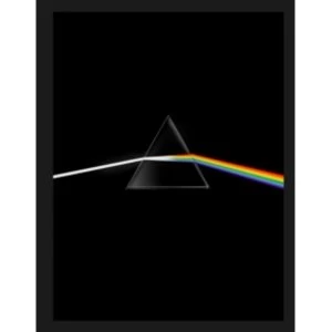 Pink Floyd : Their Mortal Remains