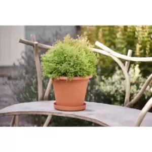 Clever Pots Terracotta Coloured Plant Pot Round 30cm - wilko - Garden & Outdoor