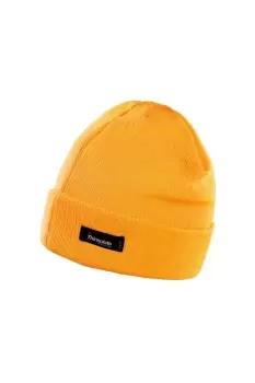 Lightweight Thermal Winter Thinsulate Hat (3M 40g) (Pack of 2)