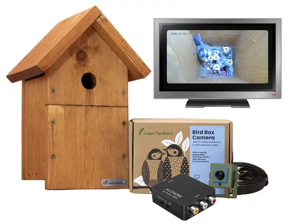 Green Feathers Bird Box Camera with TV Connection Starter Pack Green