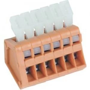 Spring loaded terminal 0.50 mm2 Number of pins 2 AKZ31912KD 2.54