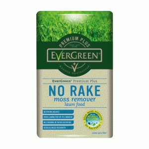 EverGreen No Rake Moss Remover Lawn Seed - 5KG