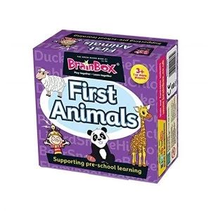 BrainBox First Animals Pre School Card Game