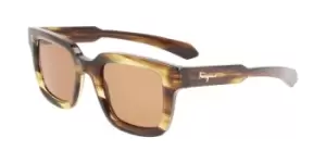Salvatore Ferragamo Sunglasses SF 1064S 319