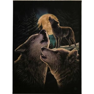 Small Wolf Song Canvas Picture by Lisa Parker