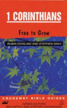 1 Corinthians by R Dowling and Stephen Dray Paperback