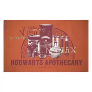 Decorsome x Harry Potter Hogwarts Apothecary Woven Rug - Small