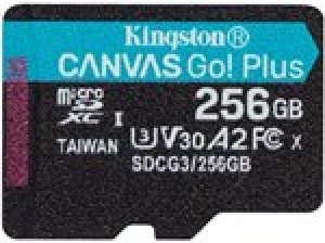 Kingston Canvas Go Plus 256GB microSDXC Card 170MB/s Read A2 U3 V30 (Card Only)