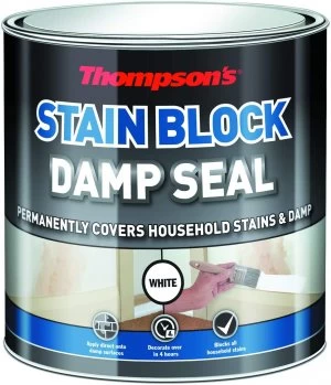 Thompsons Damp Seal White 750ml