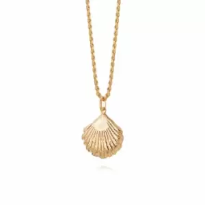 Daisy London Jewellery 18ct Gold Plated Sterling Silver Isla Large Shell Necklace 18Ct Gold Plate