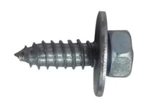 Acme Bolts - No. 10 x 3/4in. - Pack Of 2 PWN597 WOT-NOTS