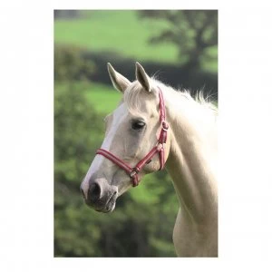 Shires Wessex Head Collar - Red/Silver