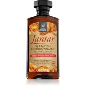 Farmona Jantar High Porosity Hair Nourishing Shampoo for Shiny and Soft Hair 330ml