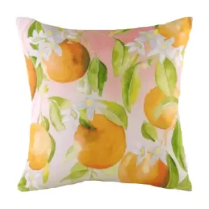 Evans Lichfield Fruit Oranges Cushion Cover (43cm x 43cm) (Multicoloured)