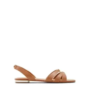 Aldo Marassi Flat Sandals - Brown
