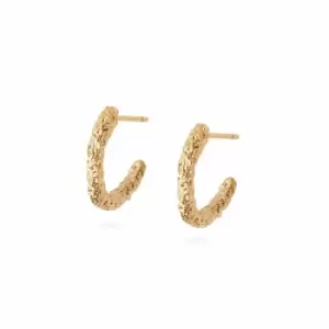 Daisy London Jewellery 18ct Gold Plated Sterling Silver Isla Coral Midi Hoop Earrings 18Ct Gold Plate