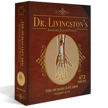 Dr Livingstons Anatomy Volume V: The Human Left Arm Jigsaw Puzzle - 472 Pieces