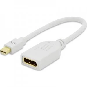 ednet DisplayPort Adapter [1x Mini DisplayPort plug - 1x DisplayPort socket] White gold plated connectors 15.00 cm